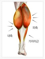 韩国小腿整形