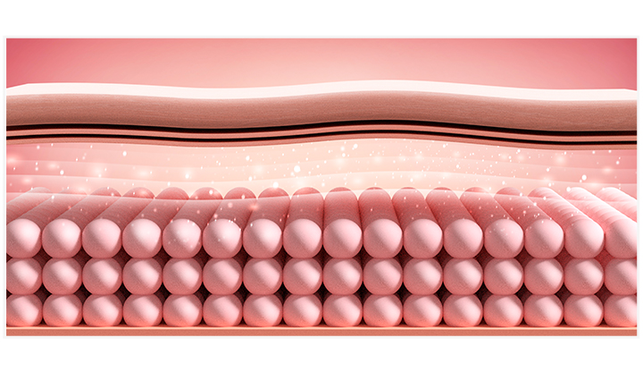 胶原重塑效果图